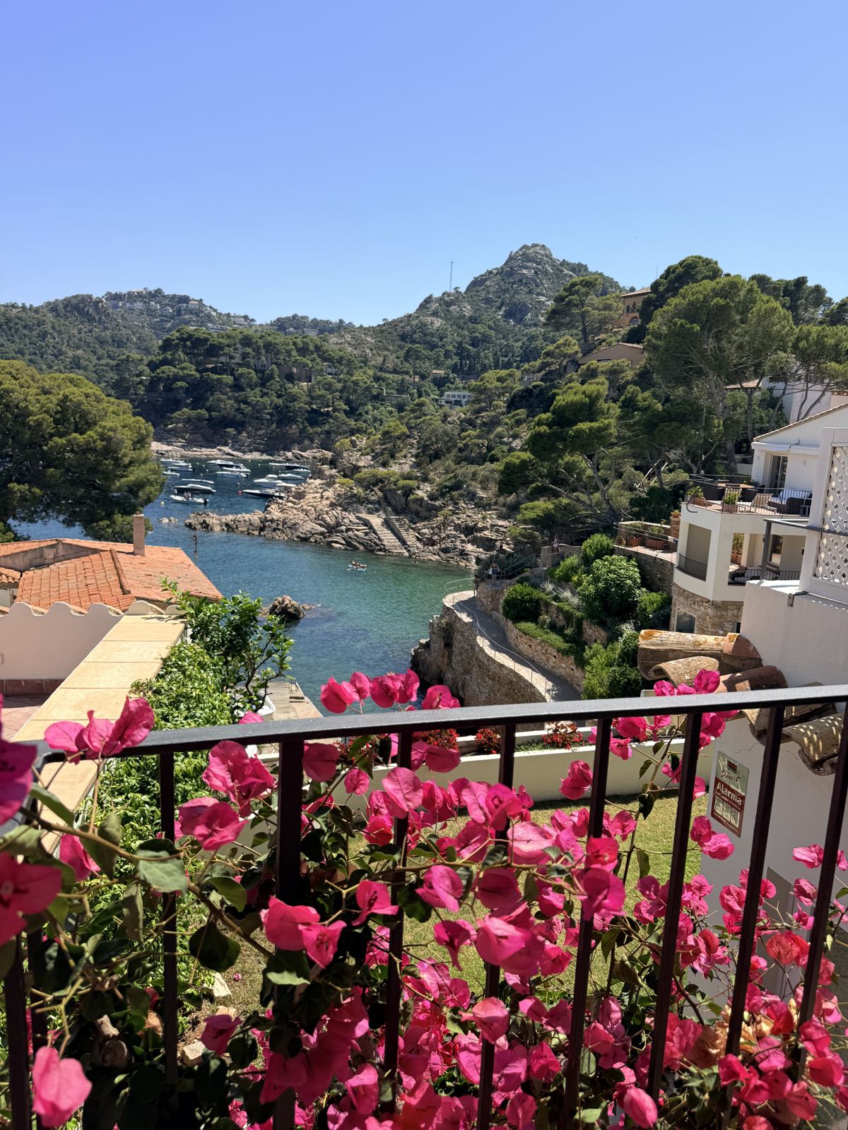 The full photo: bougainvillea over a balcony railing, a teal cove with boats, whitewashed houses and pine hills